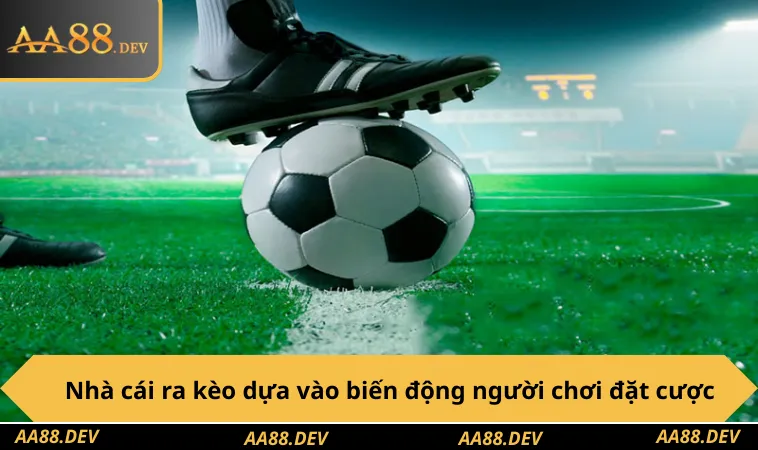Nhà cái ra kèo dựa vào biến động người chơi đặt cược
