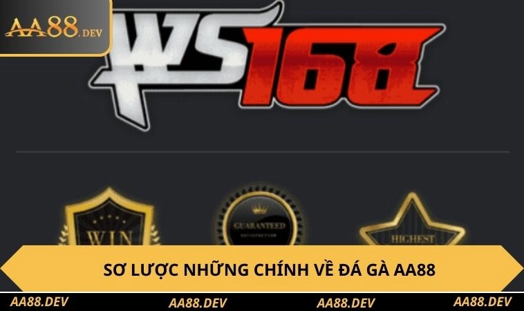 Sơ lược những chính về đá gà AA88