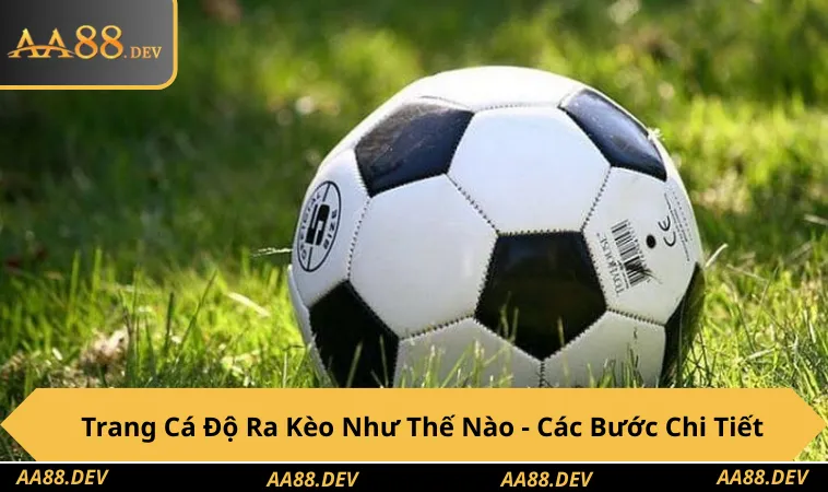 trang-ca-do-ra-keo-nhu-the-nao